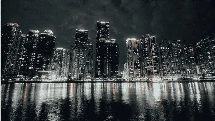 枫可怜代表作 - 城市之光：霓虹背后的人间烟火
